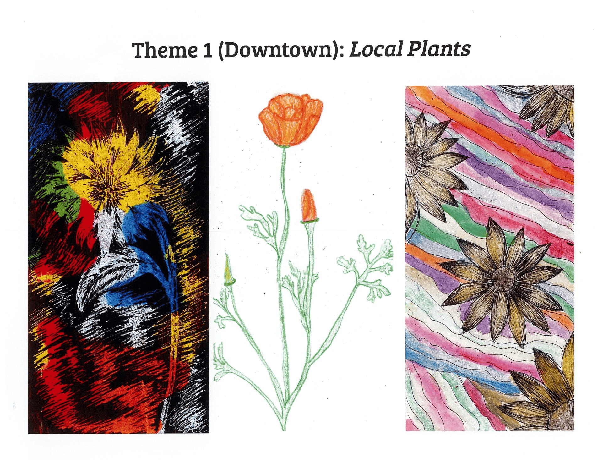 Area Themes